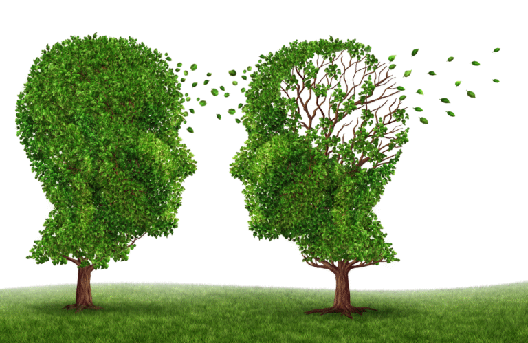 imgi_18_Dementia-Train-the-Trainer-e1751225896312-768x499